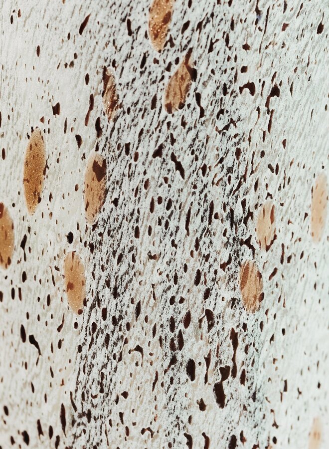BAOBAB - HALONA WHITE WORLD