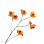 RUDBECKIA TAK GEEL 106 cm