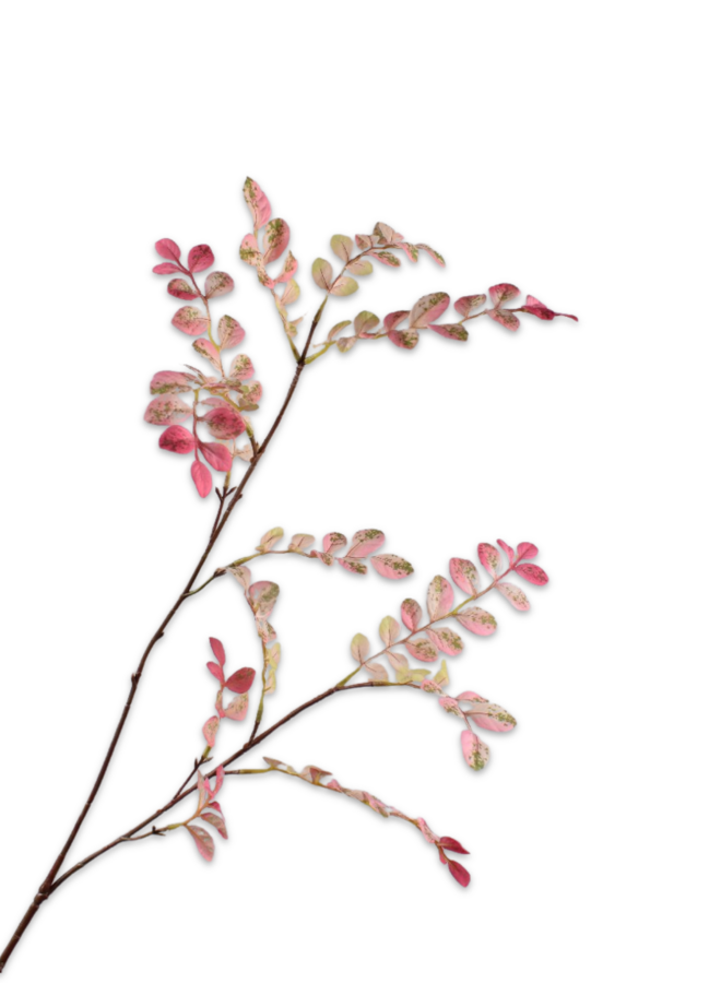 BLADTAK ROZE GROEN 94 cm