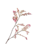 BLADTAK ROZE GROEN 94 cm
