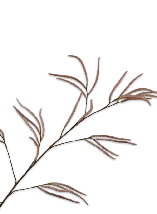GRAS TAK CREME ROZE  131 cm