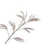 GRAS TAK CREME ROZE  131 cm