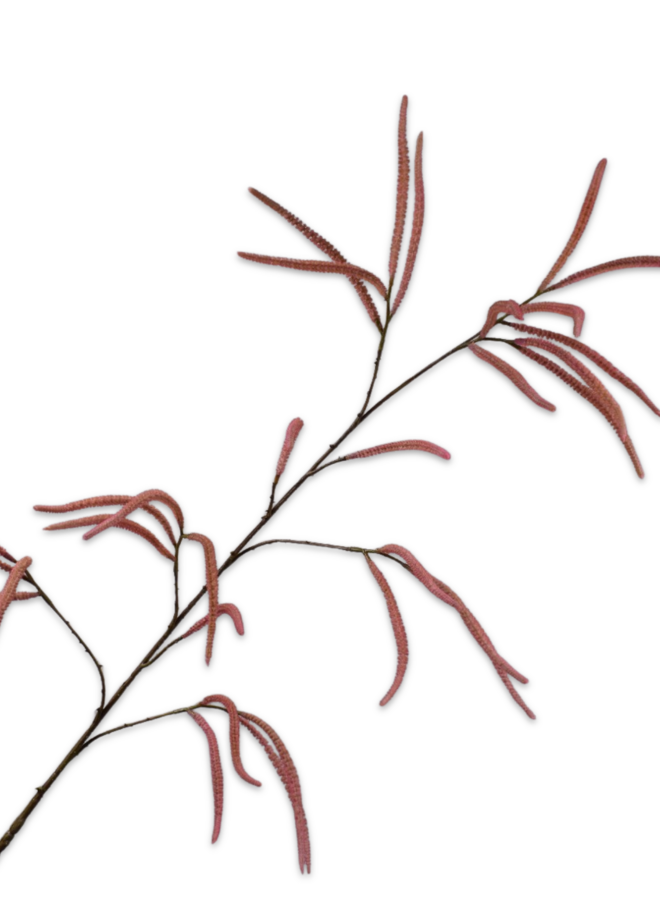 GRAS TAK ROZE  131 cm