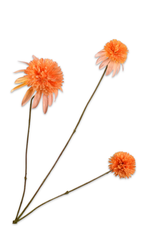 RUDBECKIA TAK ORANJE  66 cm