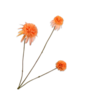 RUDBECKIA TAK ORANJE  66 cm