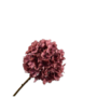 HORTENSIA STEEL ROZE  70 cm