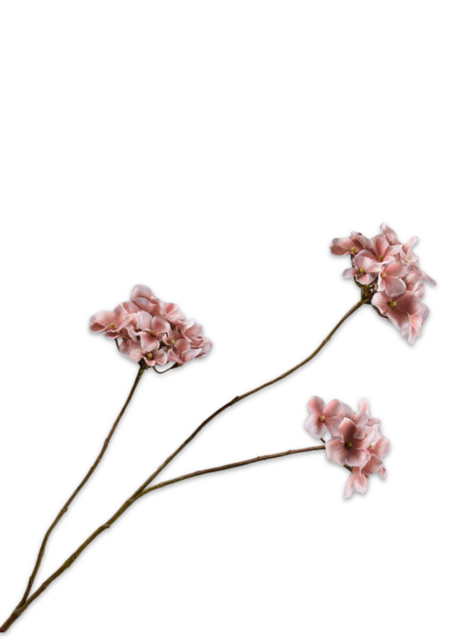 HORTENSIA TAK MAUVE 85 cm