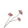 HORTENSIA TAK MAUVE 85 cm