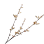 ROZENBOTTEL TAK CREME  84 cm