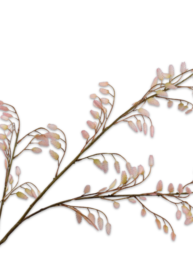 GRAS TAK CREME ROZE  113 cm
