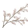 GRAS TAK CREME ROZE  113 cm