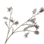 MIMOSA TAK BORDEAUX  96 cm