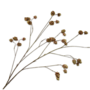 HOP TAK BRUIN GROEN 109 cm