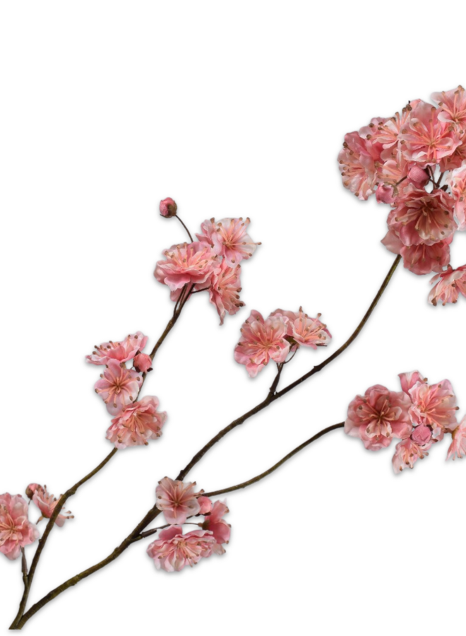 BLOESEM TAK ROZE 84 cm