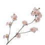 BLOESEM TAK CREME  84 cm