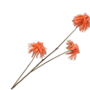 CHRYSANT TAK ORANJE 104 cm