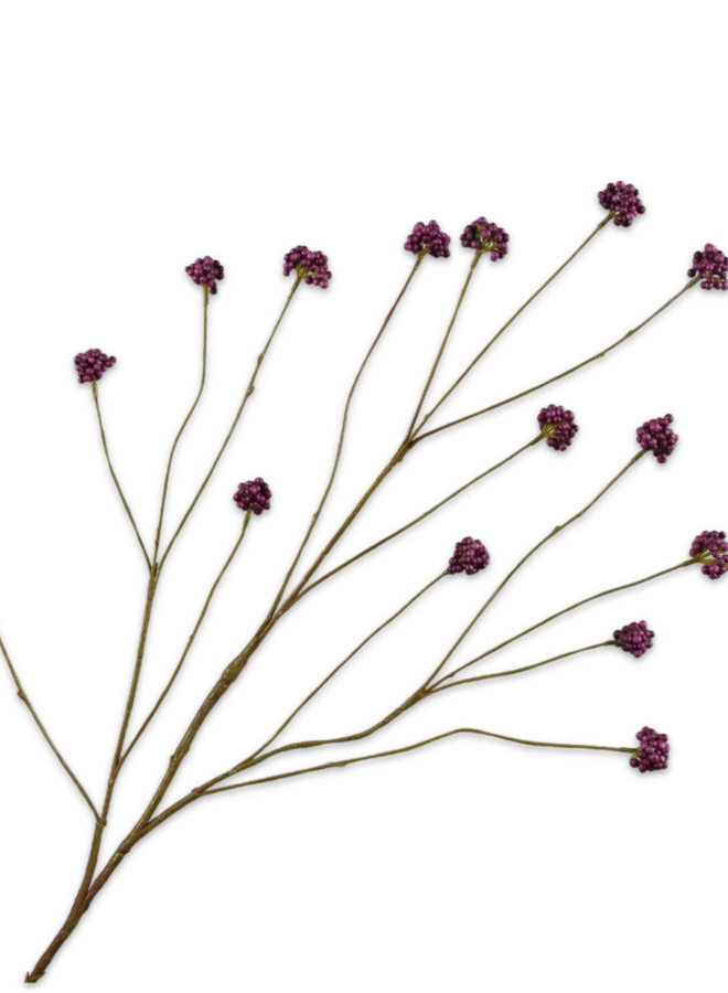 CALLICARPA TAK PAARS 94 cm