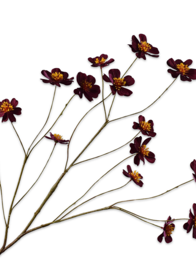 COSMOS TAK PAARS 94 cm