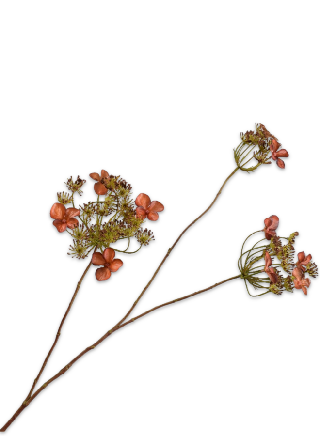 HORTENSIA TAK LICHT BRUIN 86 cm