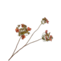HORTENSIA TAK LICHT BRUIN 86 cm