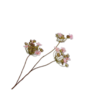 HORTENSIA TAK MAUVE 86 cm