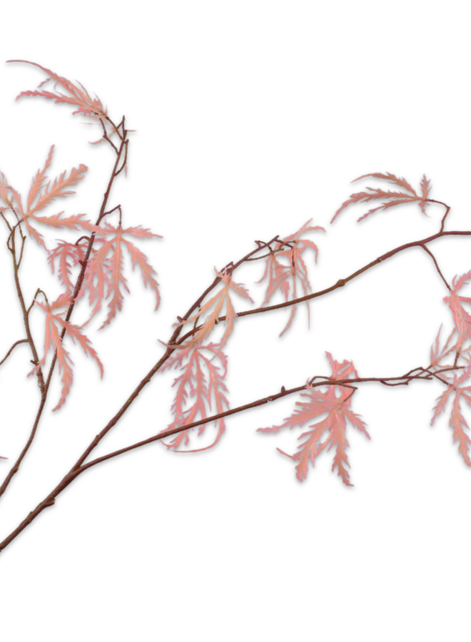 ESDOORN TAK ROZE 93 cm