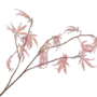 ESDOORN TAK ROZE 93 cm