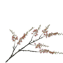 CAPPARIS TAK GROEN ROZE 131 cm