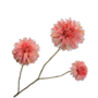 DAHLIA TAK ZALM 82 cm