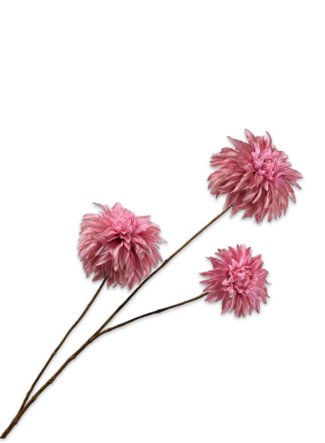 DAHLIA LICHT ROZE 82 cm