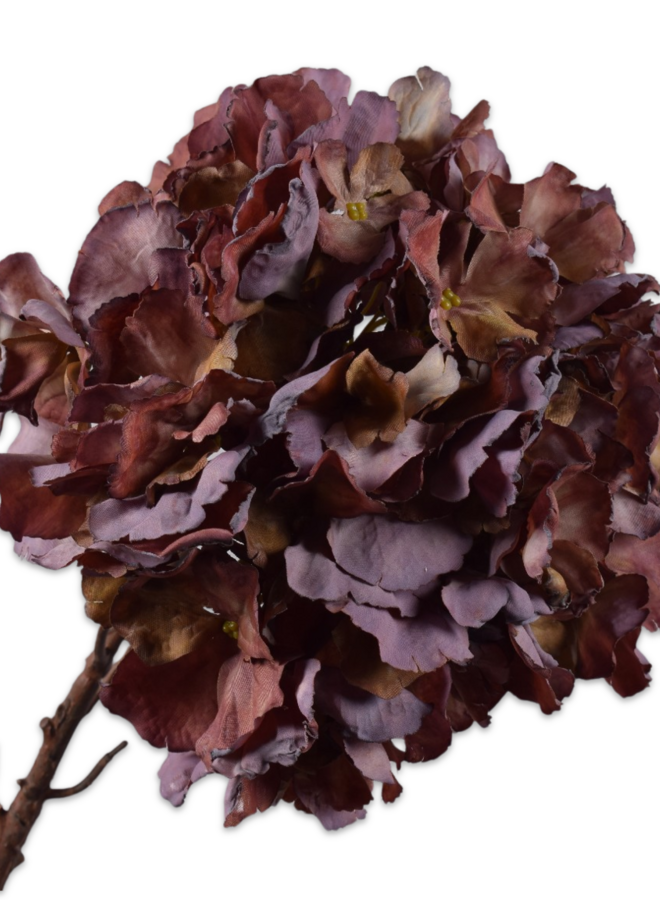 HORTENSIA STEEL PAARS 64 cm
