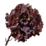 HORTENSIA STEEL PAARS 64 cm