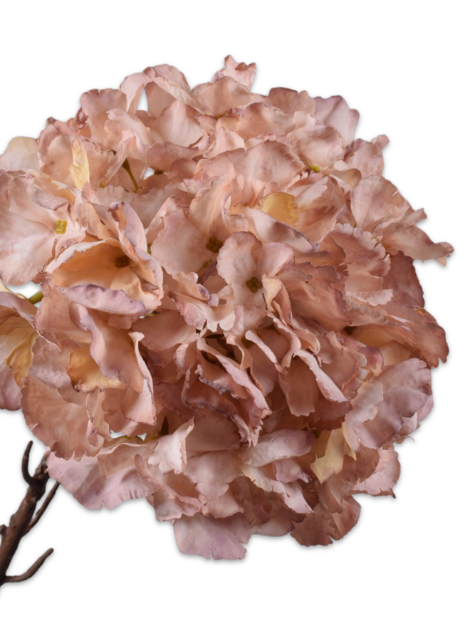 HORTENSIA STEEL MAUVE 64 cm