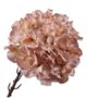 HORTENSIA STEEL MAUVE 64 cm