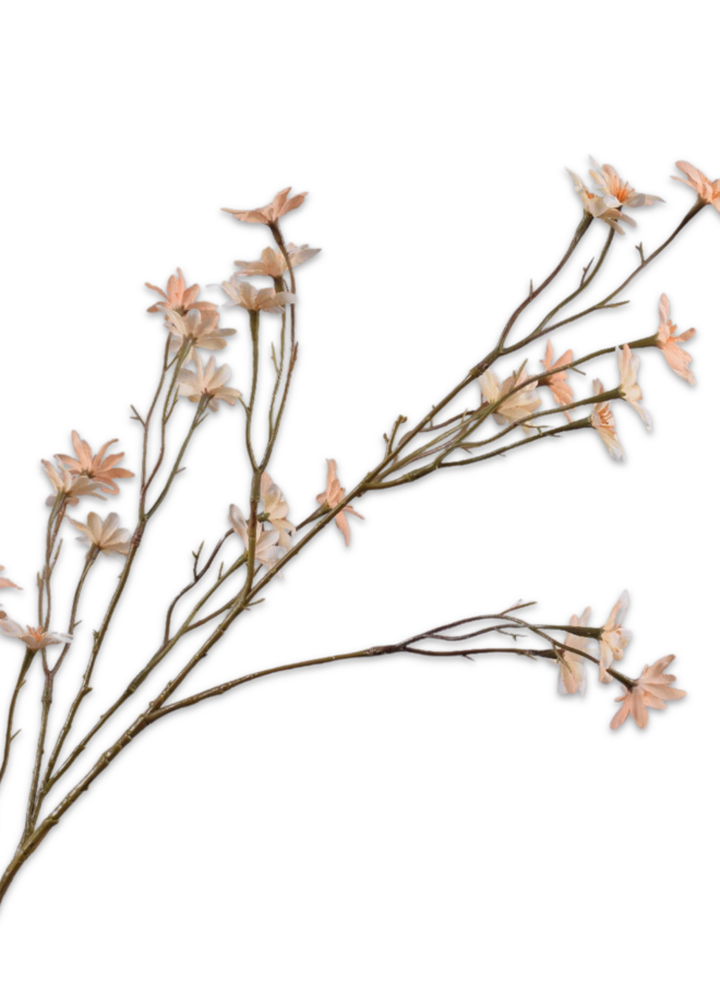 MARGRIET PERZIK CREME 79 cm