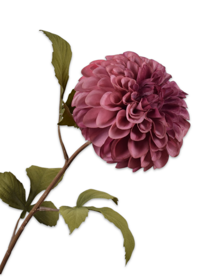 DAHLIA STEEL PAARS 83 cm