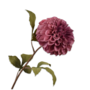 DAHLIA STEEL PAARS 83 cm