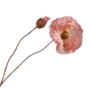 KLAPROOS STEEL ROZE 82 cm
