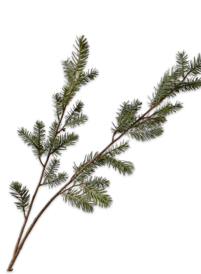 DENNEN TAK GROEN GRIJS 110 cm