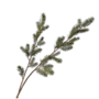 DENNEN TAK GROEN GRIJS 110 cm