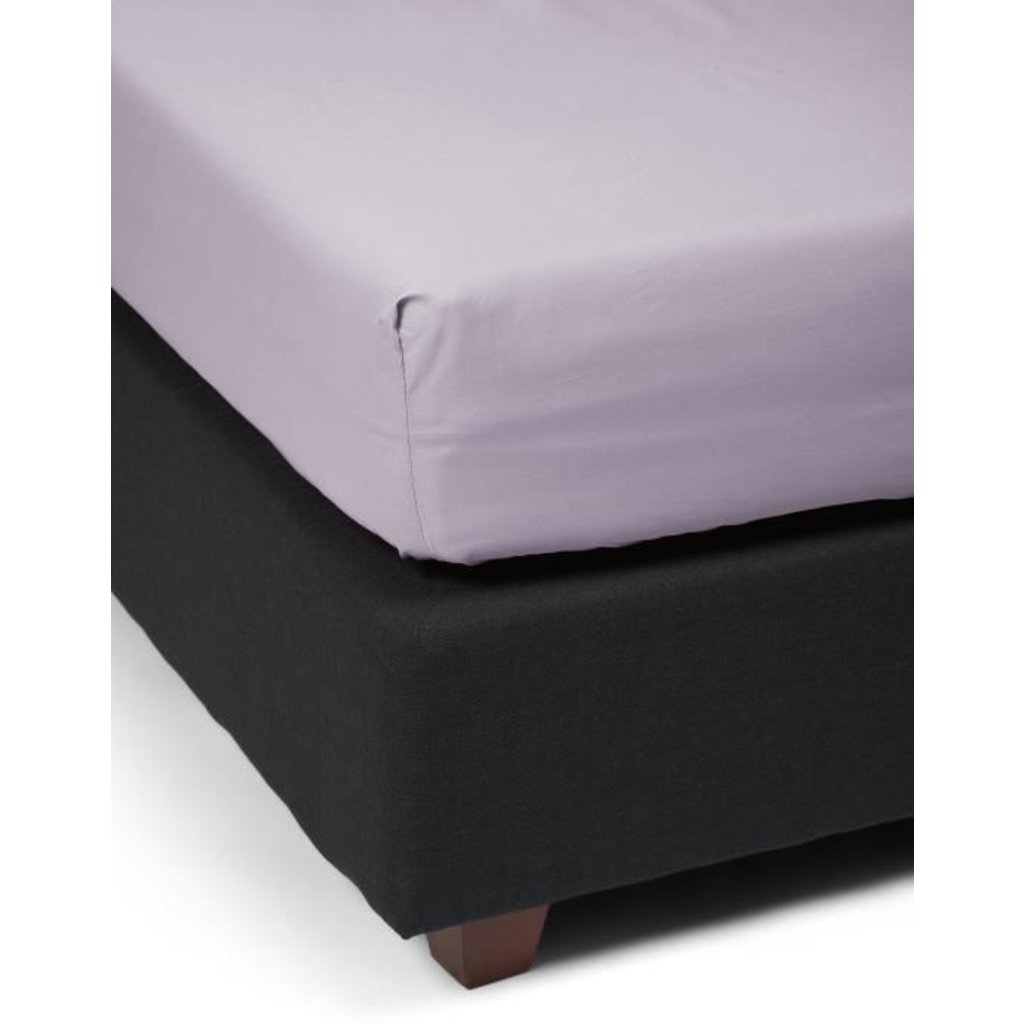 Fitted Sheet Minte Purple Breeze