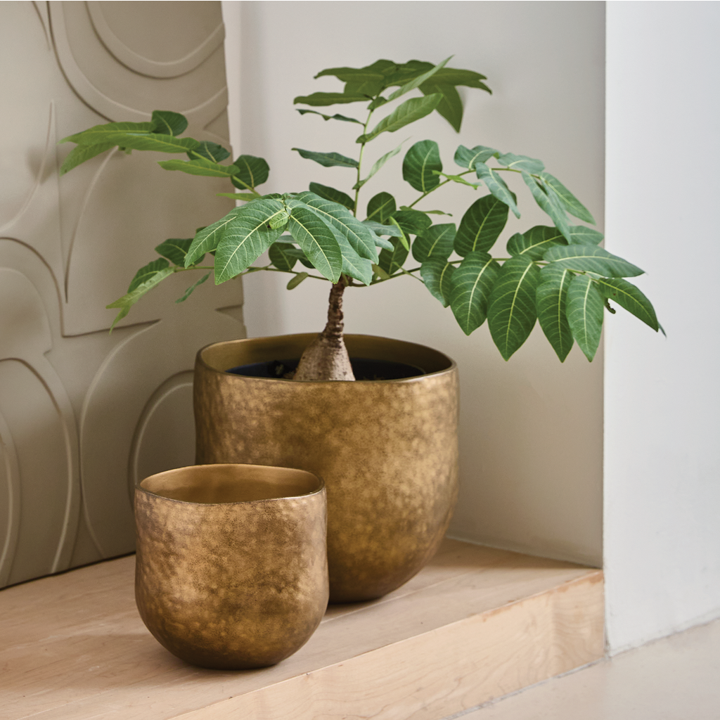 Plant Pot Oro (L)