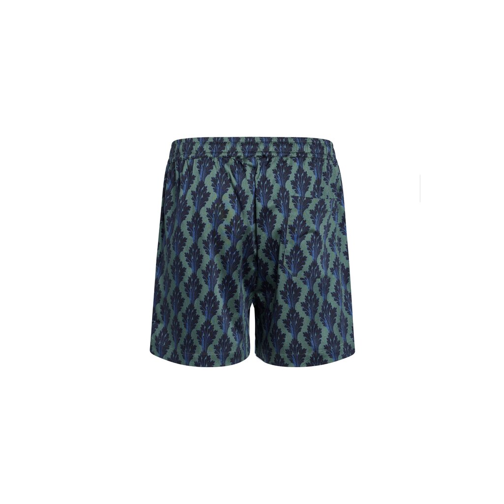 Shorts Jude Tesse Green (M)