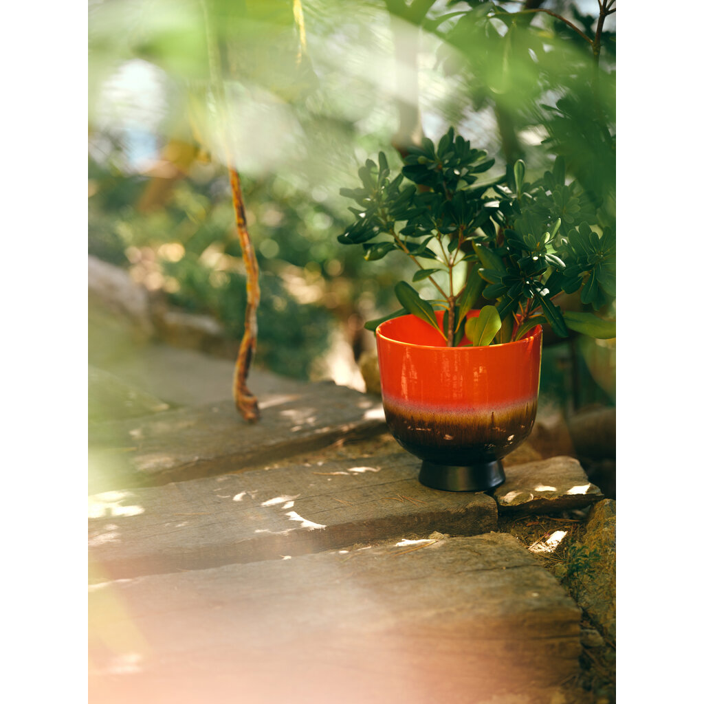 Flower Pot Cherry