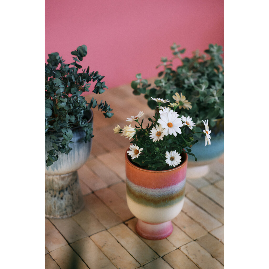 Flower Pot Rosefield