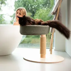 Cats Cat Tree N°3 Green