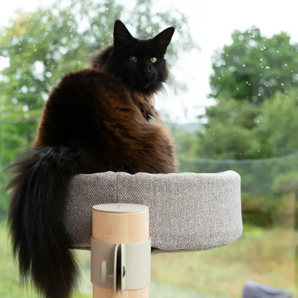 Cats Kattenboom N°3 Groen