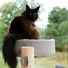 Cats Cat Tree N°3 Green