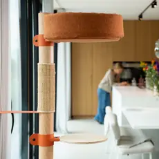 Cats Cat Tree N°1 Orange