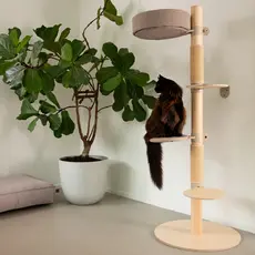 Cats Cat Tree N°1 Orange